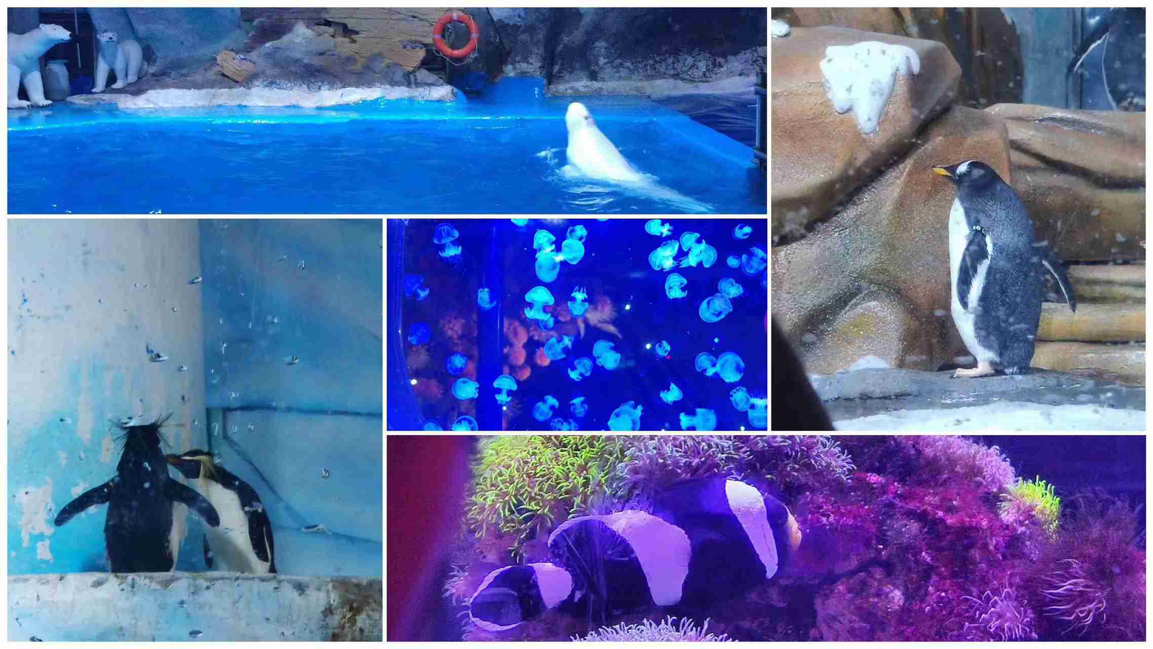 AG8�콢����(�й�)������ҳ