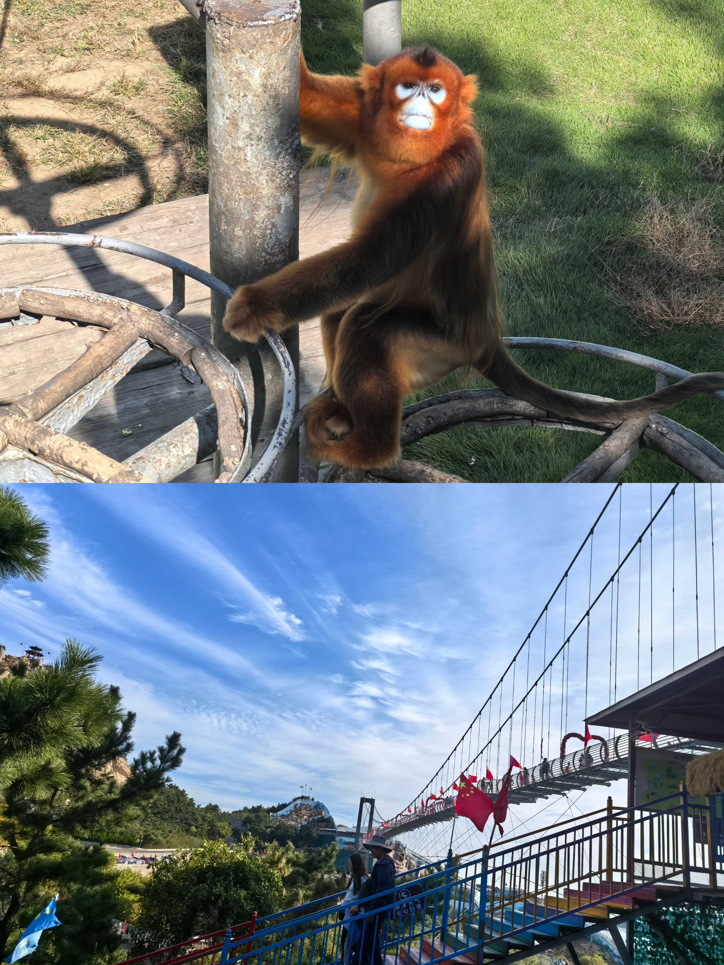 AG8�콢����(�й�)������ҳ