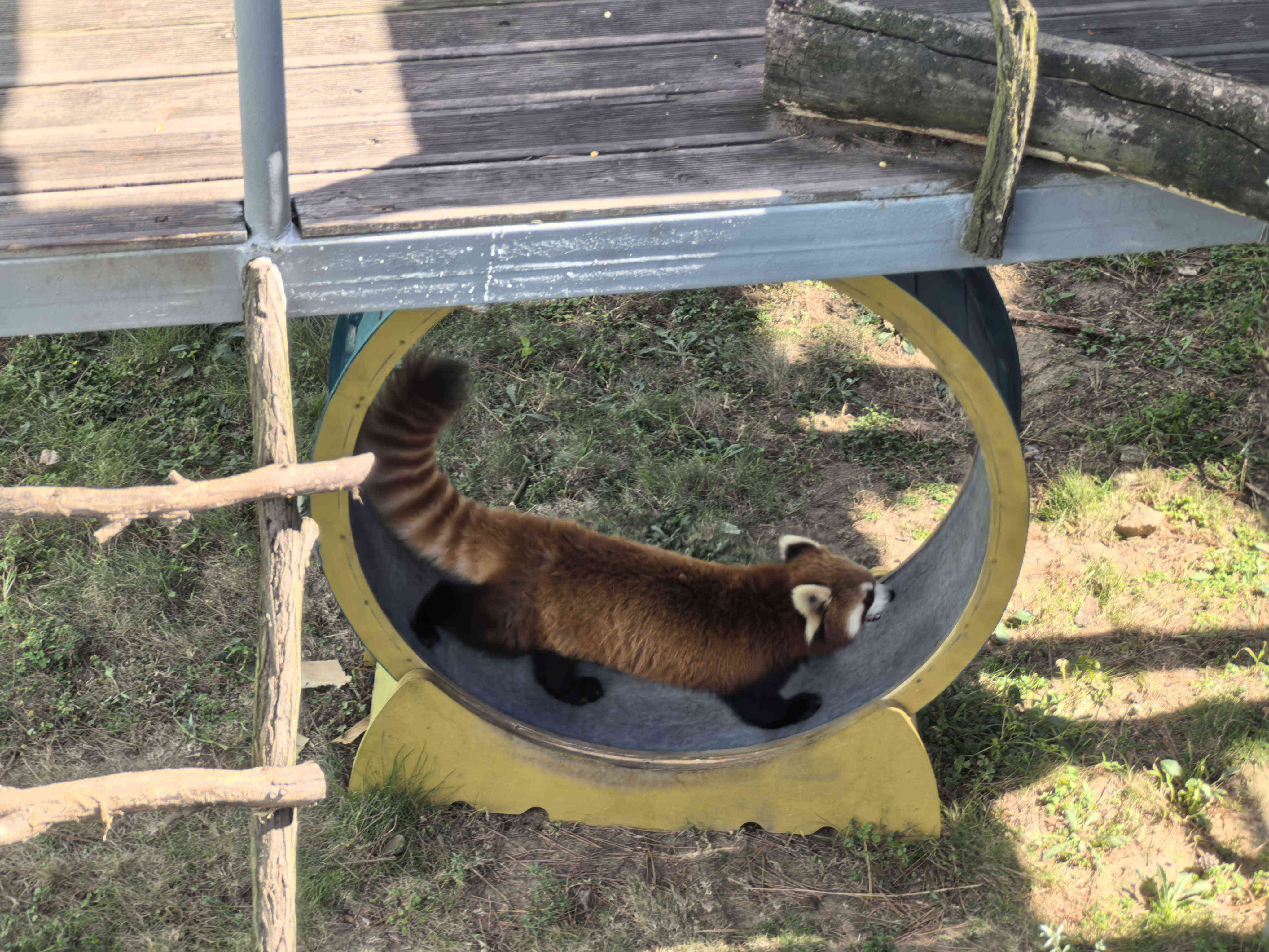 AG8�콢����(�й�)������ҳ